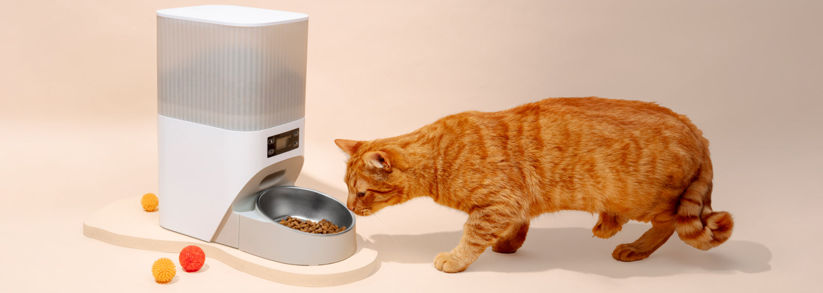 Alergias por comida en perros y gatos