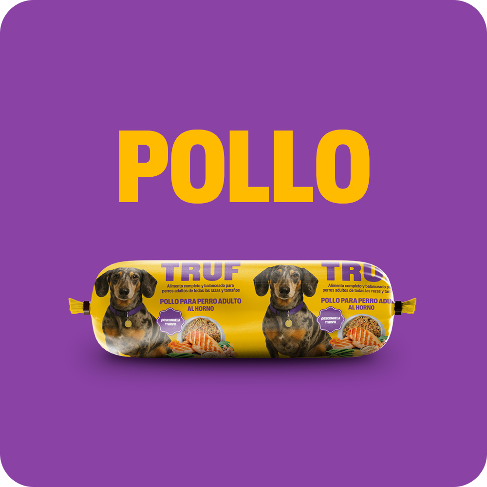 Pack de Degustación TRUF - Perro Adulto