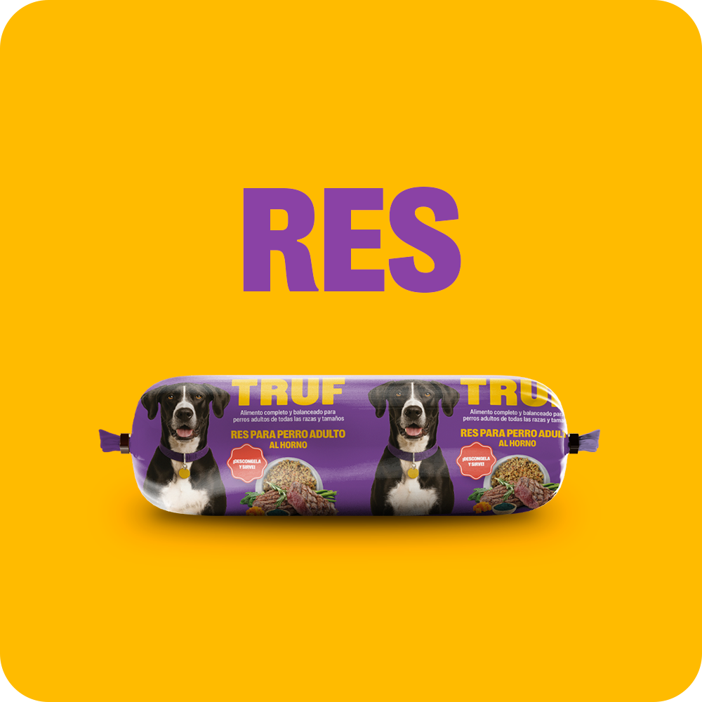 Pack de Degustación TRUF - Perro Adulto
