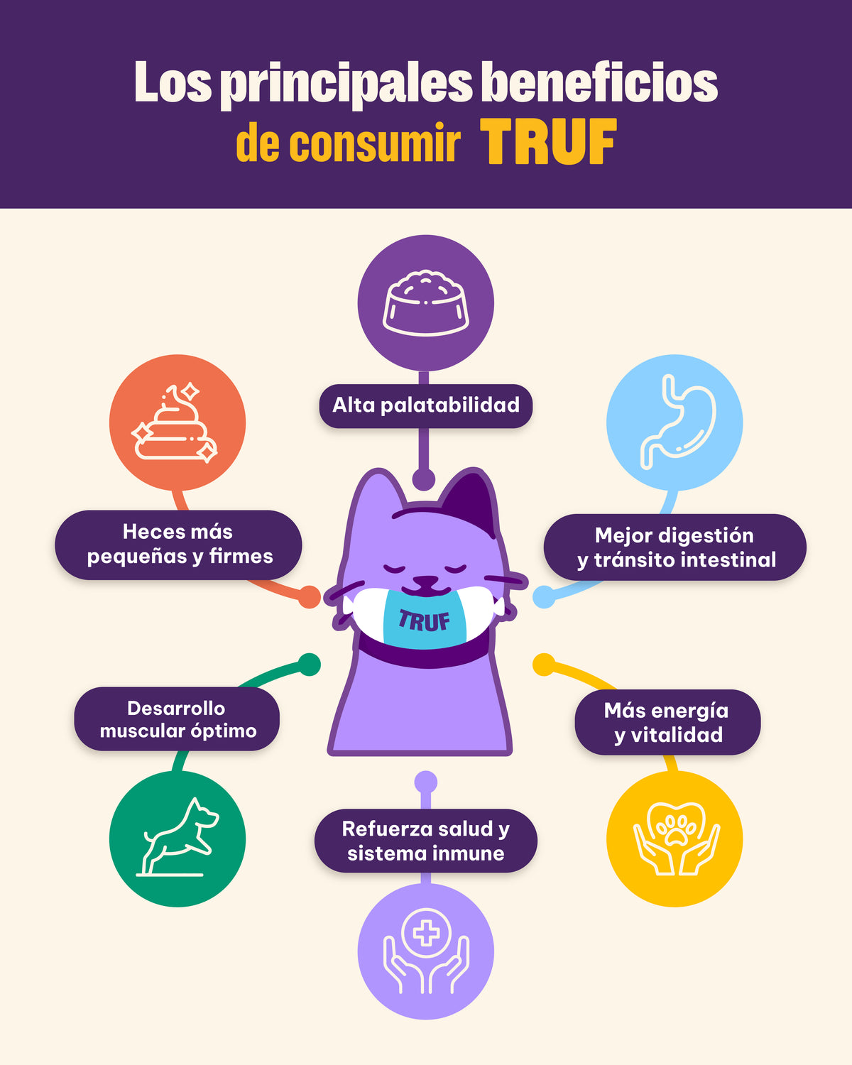 Pack de Degustación TRUF - Gato Adulto