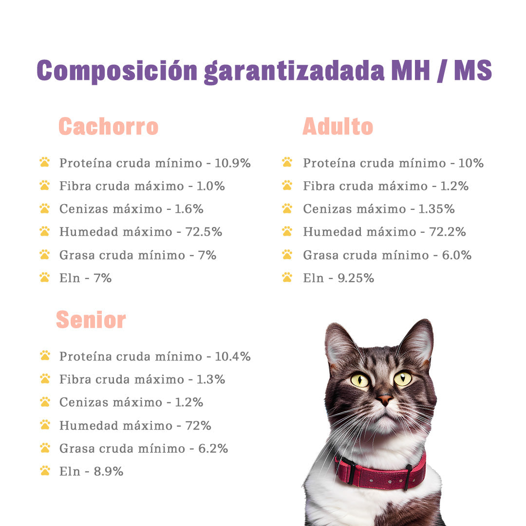 Pack de Degustación TRUF - Gato Adulto